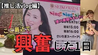 【日常Vlog】聖子ちゃん「”45周年”コンサート2025」行ったら昭和に産まれ直したくなった