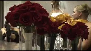PreCeremony Teaser