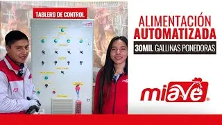 Tablero de Control para el Sistema de Alimentaci&oacute;n Autom&aacute;tico en Aves