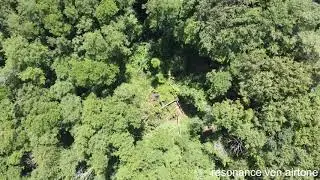 Naturschutzgebiet Riedried - Erlen Sumpf- und Bruchwald