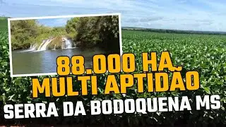 Fazenda com &oacute;tima log&iacute;stica e ferrovia. Alta produ&ccedil;&atilde;o.