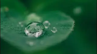 Environmental Sustainability in Anaesthesia
