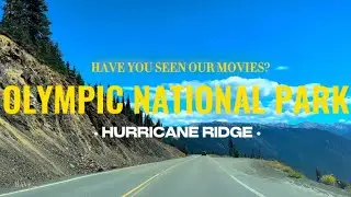Driving at Hurricane Ridge in Olympic National Park (4K)