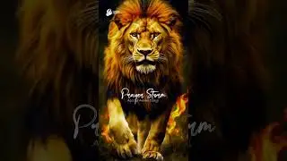POWERFUL 90-Minute Prayer Storm: Accelerate Ascension & Activation