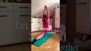 #stretching #splitschallengeflexibility #mobilitywork #fitgirls #homework-out #consistency