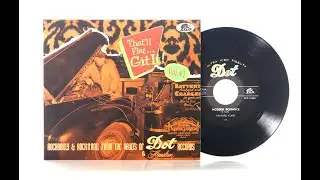 That'll Flat Git It! Vol. 41 - Rockabilly & Rock 'n' Roll From The Vaults Of Dot & Hamilton Records