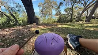 Steel tongue drum