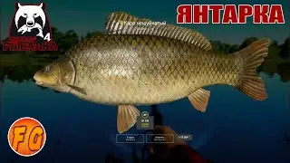 Фарм на озере Янтарное. Карп на Янтарке. Russian Fishing 4. рр4. Русская рыбалка 4.