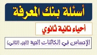 نماذج وتدريبات بنك المعرفة أحياء تانية ثانوي الإحساس في الكائنات الحية الجزء الثاني