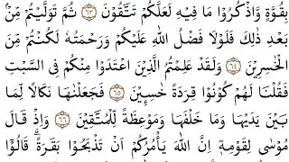 Q.S Al Baqarah 64 - 66 || Bersama Santri Jilid 6 #ngaji #ngajipemula #alquran #alquranulkarim