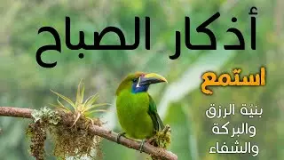 اذكار الصباح تلاوة تريح القلب 🌿لجلب الرزق والشفاء والبركة باذن الله Adhkar Morning