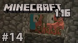 THE ZOMBIE WINDOW - Minecraft 1.16 #14