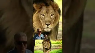 #all information || Gujarat tourist point#gujarat all information tourist point#mdstarvlog