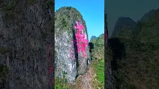 The secrets of Guangxi&rsquo;s mountains: revealing the world&rsquo;s largest cliff carvings