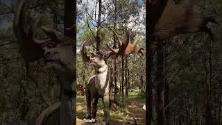 Giant Deer ice age @dinoparquelourinha9481 , #dinoparquelourinha #deer #elk