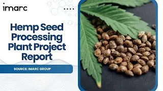 How to Setup a Hemp Seed Processing Plant: Detailed Report 2025