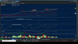 Trading Sunpower Corp $SPWR Bull Flag Unusual Option Activity Lesson