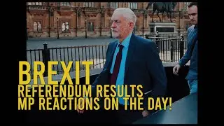 BREXIT REFERENDUM MP REACTIONS ON THE MORNING OF BREXIT RESULTS 2016 - CAMERON RESIGNATION