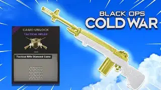 *DARK MATTER DMR 14* Black Ops Cold War Road to DM Ultra (BOCW)