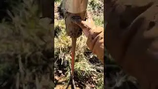 Soil evaluation for septic suitability in Tennessee #soilscience