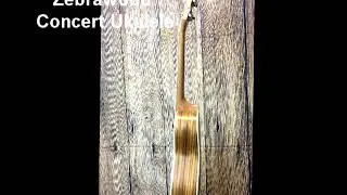 Snail UKC 480E Zebrawood Concert Ukulele