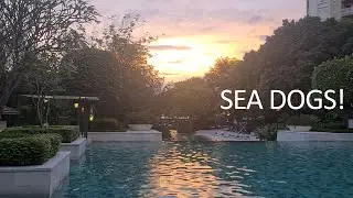 Sea Dogs, Batu Ferringhi, and Expat Life in Penang