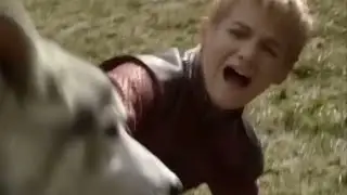The Dire Wolf Situation is Crazy