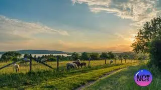 🌅 Sonido de Amanecer en el Campo. Gallo y P&aacute;jaros Cantando. Para Relajarse 🎧 - NO COPYRIGHT SONGS