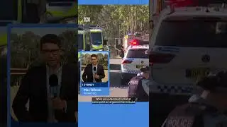 15yo boy charged with murder after teen dies in Sydney stabbing | ABC NEWS