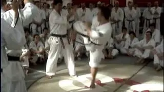 Kyokushin Karate | Seminarium Kumite - Walcz 02.2009