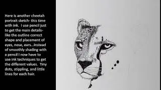 Cheetah Art Doug Hiser