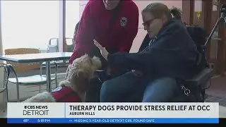 Therapy dogs provide stress relief for Oakland Community College students