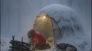 Stranded in -50°C Alaska: Can I Outrun a Wolf Pack in a Blizzard?