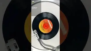Buckner & Garcia - Pac-Man Fever (1982)