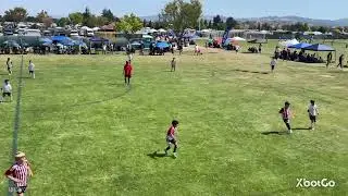 5-31-2025 Rush Summer cup, AFC 14B black vs Sunnyvale Alliance 14B red