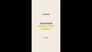 Does mold always have a smell?