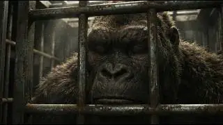 King Kong and Godzilla vs Special Forces the movie