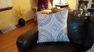Must see no dust,bug,or lens flair orb,spirit. Hovering for a long as it was flashing..