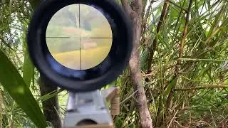 1Shot1kill
