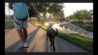 penny board cruising -- 100% destroying my ankle!! ft Raja