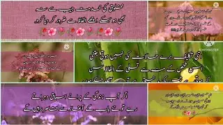 Deep words in urdu/hindi|| Famous golden words|top quotes