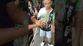 King's bycicle store bilihan ng murang bike sa quiapo #fyi #followers #highlights