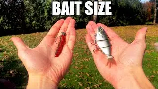 3 Bait Size Tips You Didn't Know