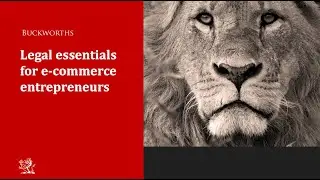 Legal Essentials for E-commerce Entrepreneurs