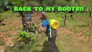 A Day in My Village 🏡 | Reliving Childhood Memories & Simple Village Life