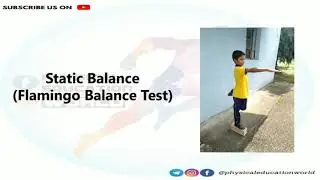 Flamingo Balance Test | How to conduct Flamingo Balance Test | Static Balance Test for Kids #balance