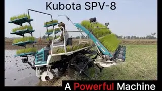 Kubota Rice Transplanter | A Powerful Machine | SPV-8 | Munji