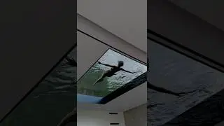 Roof skylight | glass ceiling | glass portal | house decor | luxury interior #interior #ceiling