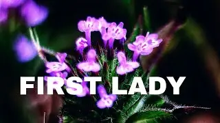 First Lady March 31, 2022 Full Episode 33