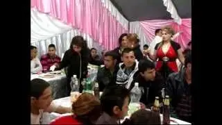 studijo  dzogani bekim 2013 te kelji u krnjacu